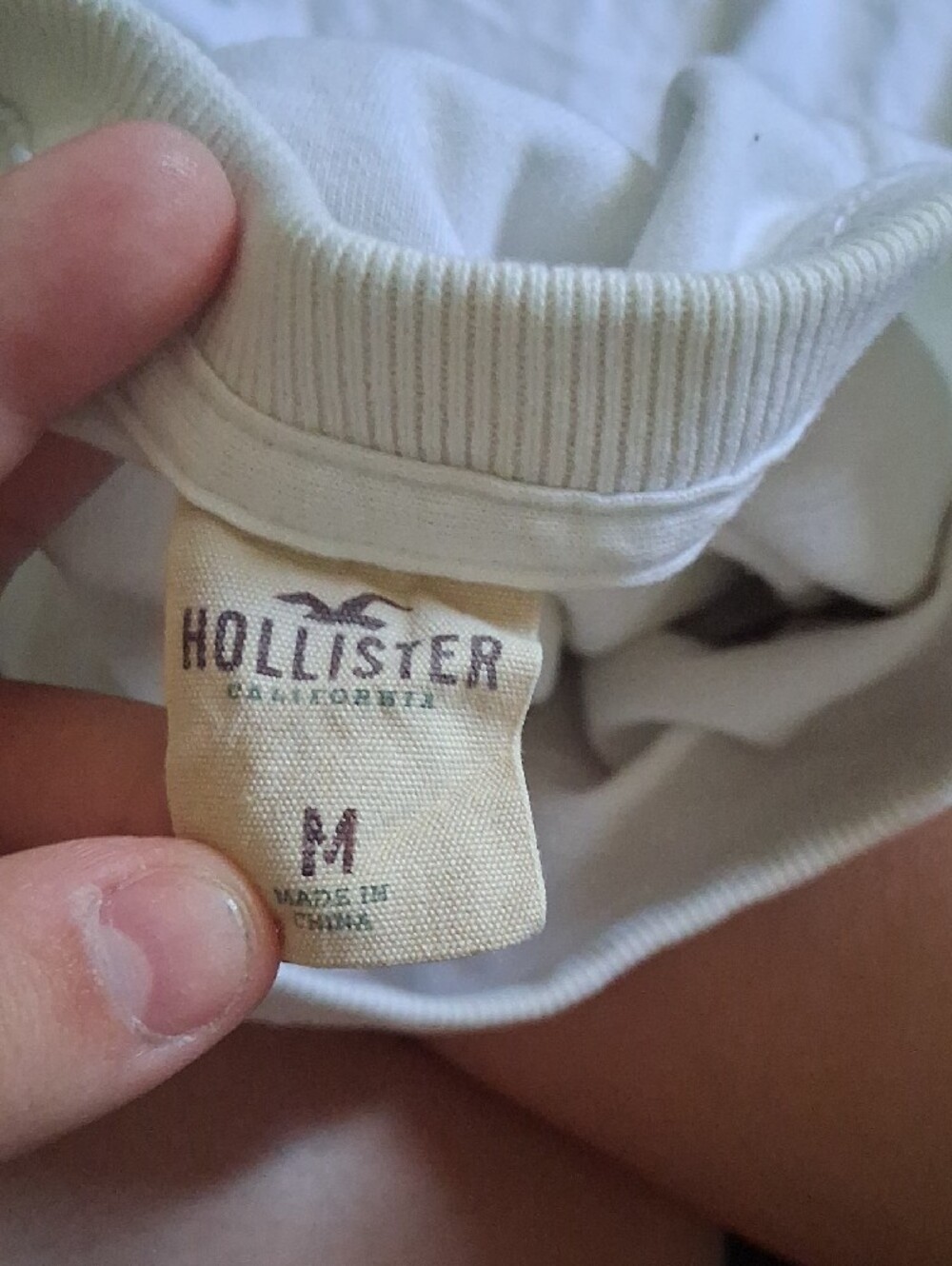 Hollister White Crew Tee with Maroon Seagull Logo - Picture 2 of 3